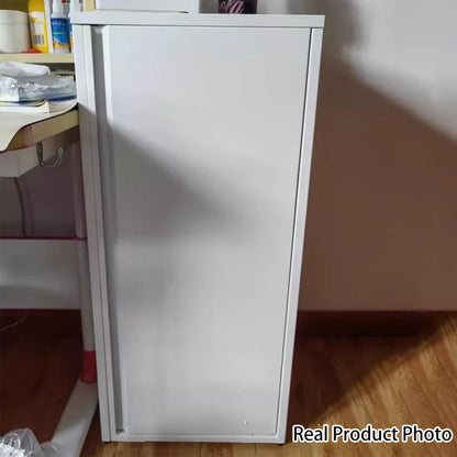 Modern Minimalist Rectangular Steel Storage Cabinet 1-Cabinet For Living Room