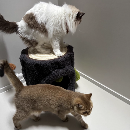 Contemporary Creative Round Medium-Density Fiberboard Velvet Fabric Sisal 1/2-Condo 1-Perch Cat Tree For Bedroom