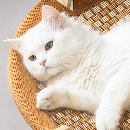 Contemporary Boho Round Rattan Mat Solid Wood Multi-Layer Board Fabric Medium Density Fiberboard Cat Bed For Bedroom