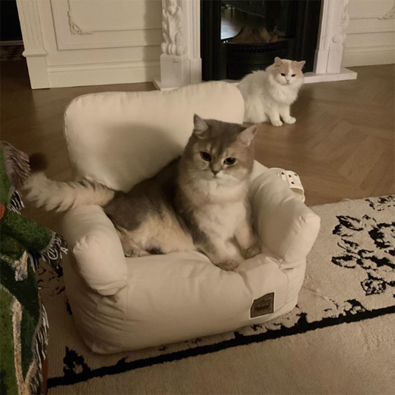Modern Minimalist Rectangular Fabric PP Cotton Cat Bed Pet Accent Chair Backrest Armrest For Living Room