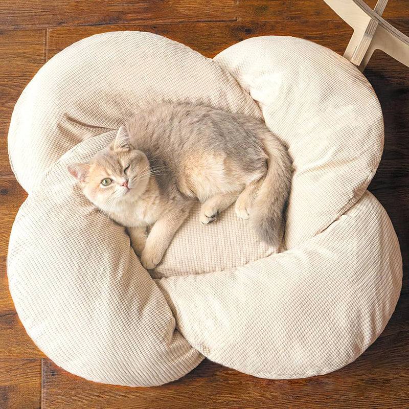 Modern Minimalist Floral-Shaped Curved Multi-Layer Plywood Velvet Cat Bed 4-Leg For Bedroom