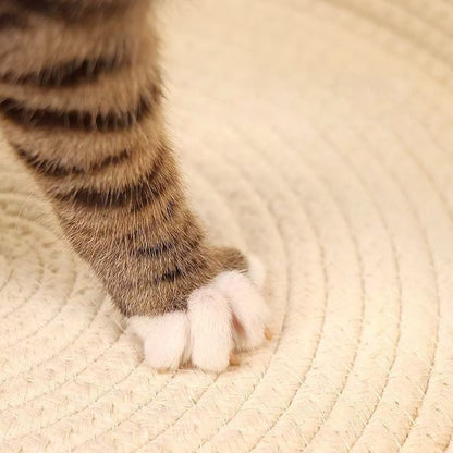 Contemporary Creative Cylindrical Cat Ear Design Cotton Linen Cat Bed With Toy Ball For Bedroom