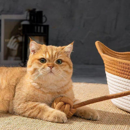 Contemporary Creative Cylindrical Cat Ear Design Cotton Linen Cat Bed With Toy Ball For Bedroom