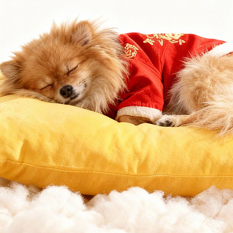 Contemporary Creative Rectangular Ultra-Soft Plush Fabric Crystal Velvet Anti-Slip Dotted Fabric Dog Bed Cat Bed With Handle For Bedroom