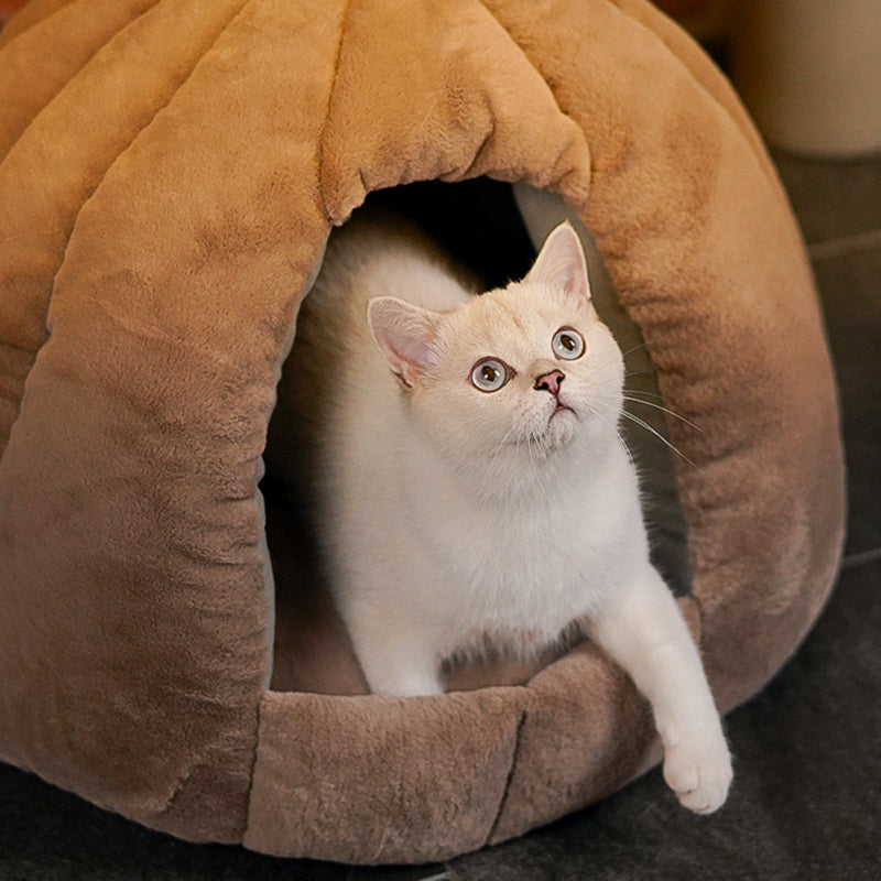 Contemporary Creative Spherical Pumpkin-Shaped Mongolian Yurt Velvet Anti-Slip Dotted Fabric Dog Bed & Cat Bed For Bedroom
