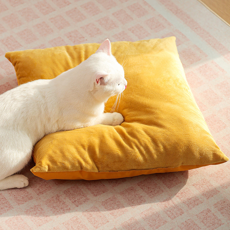 Contemporary Creative Semi-Circular Foldable Outdoor Tent Oxford Fabric Fiberglass Mesh Fabric Anti-Slip Dotted Fabric Velvet Cat Bed Dog Bed For Garden