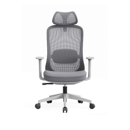 Modern Minimalist Desk Chair: High-Back Breathable Mesh Chair - Ergonomic Lumbar Support Office Chair For Home Office