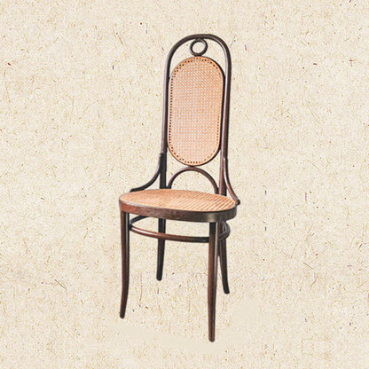 Modern Minimalist Oval Faux Rattan Metal Dining Chair Backrest For Dining Room
