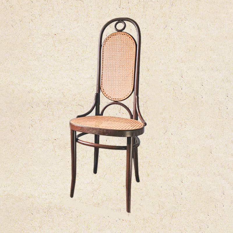 Modern Minimalist Oval Faux Rattan Metal Dining Chair Backrest For Dining Room