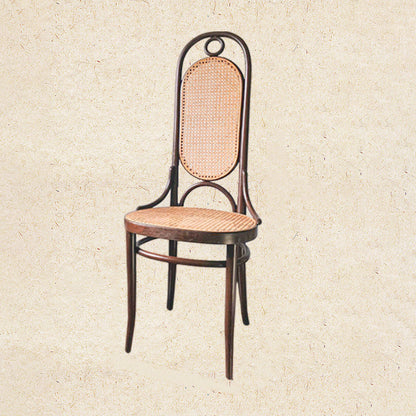 Modern Minimalist Oval Faux Rattan Metal Dining Chair Backrest For Dining Room