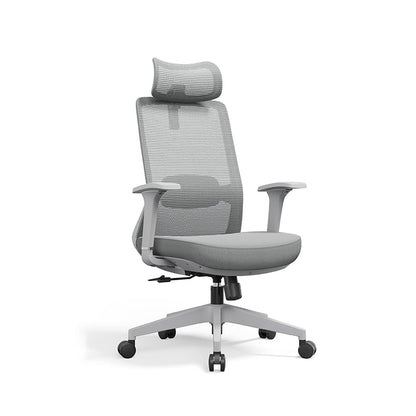 Premium Ergonomic Office Desk Chair - Minimalist High-Back Manager Chair With 2D Headrest & SGS Certified Gas Lift For Home Office