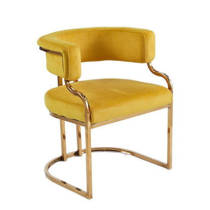 Modern Minimalist Curved Cat Claw Leather Steel Dining Chair Backrest Armless For Dining Room
