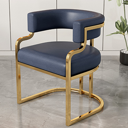 Modern Minimalist Curved Cat Claw Leather Steel Dining Chair Backrest Armless For Dining Room