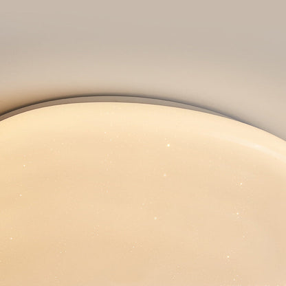 Modern Minimalist Pebble Iron Acrylic LED Flush Mount Ceiling Light For Bedroom