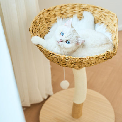 Contemporary Creative Cylindrical Bowl-Shaped Pine Camphor Tree Trunk Kraft Paper Rope PE Rattan Cat Tree & Condo 1 - Condo For Living Room