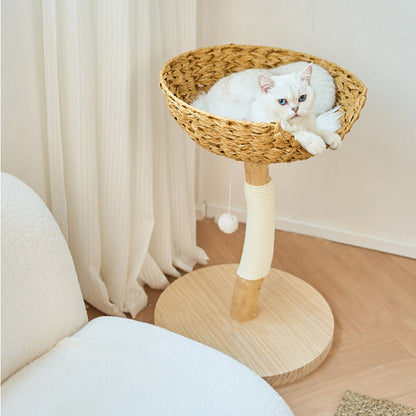 Contemporary Creative Cylindrical Bowl-Shaped Pine Camphor Tree Trunk Kraft Paper Rope PE Rattan Cat Tree & Condo 1 - Condo For Living Room