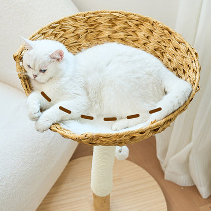 Contemporary Creative Cylindrical Bowl-Shaped Pine Camphor Tree Trunk Kraft Paper Rope PE Rattan Cat Tree & Condo 1 - Condo For Living Room