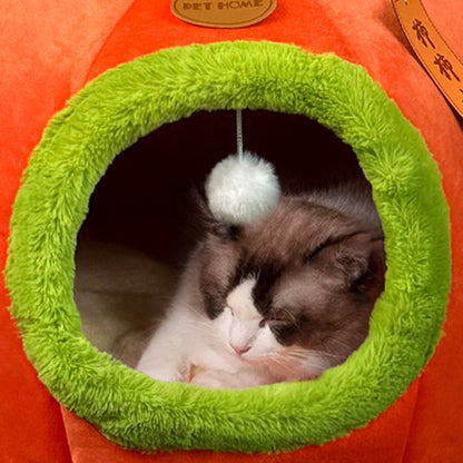 Contemporary Creative Velvet PP Cotton Persimmon-Shaped Cat Bed 1-Toy Ball For Living Room & Bedroom