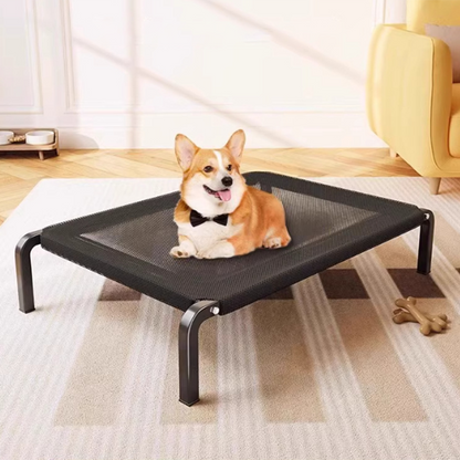 Modern Minimalist Nylon Iron Rectangular Dog Bed For Living Room & Bedroom