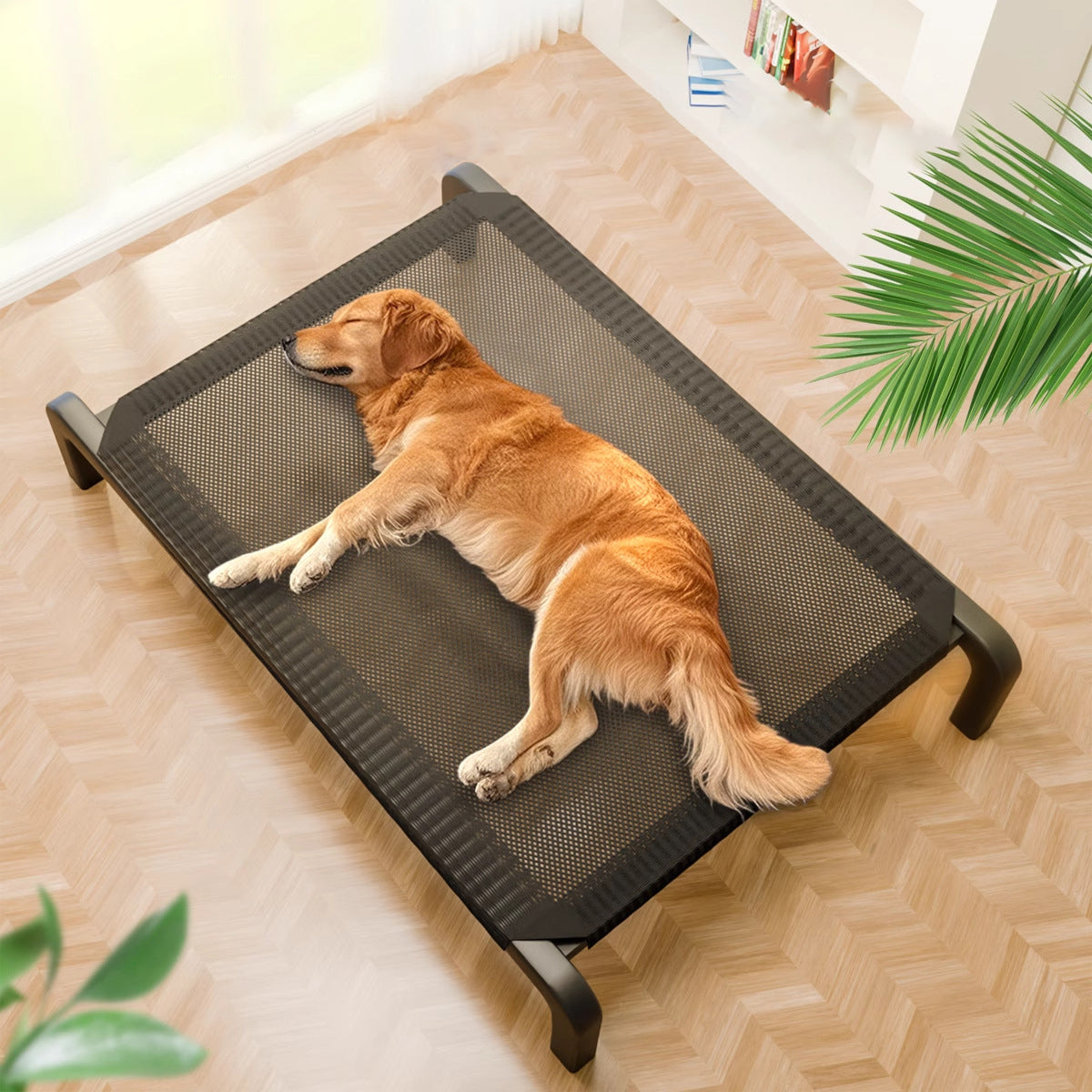 Modern Minimalist Nylon Iron Rectangular Dog Bed For Living Room & Bedroom