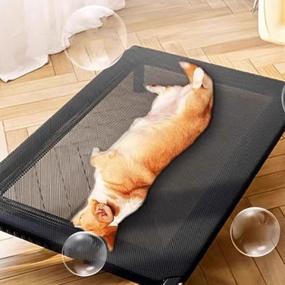 Modern Minimalist Nylon Iron Rectangular Dog Bed For Living Room & Bedroom