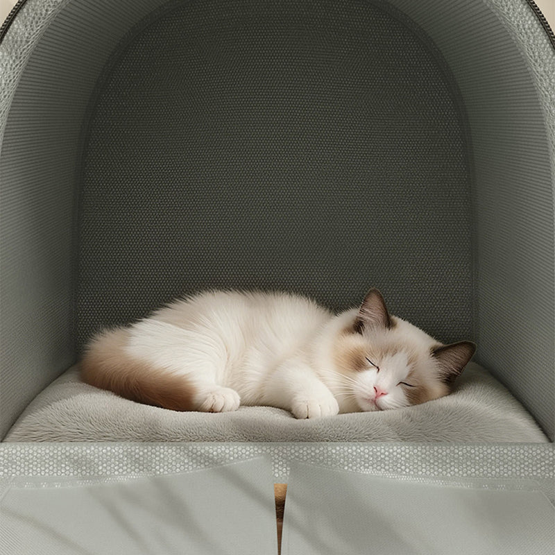 Modern Minimalist Velvet Sponge PP Cotton Arch Foldable Cat Bed For Living Room & Bedroom