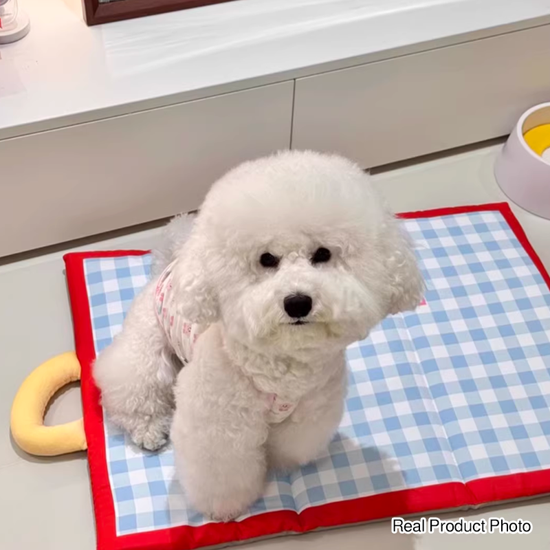 Contemporary Creative Waterproof Tech Fabric PP Cotton Rectangular Cartoon Foldable Dog Bed For Living Room & Bedroom