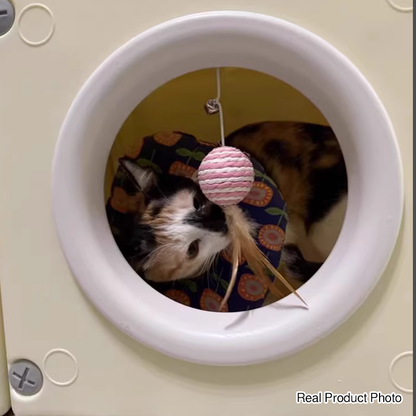 Modern Minimalist Resin PET Square Cat Bed 1-Toy Ball & Interchangeable Design For Living Room & Bedroom