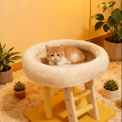 Modern Minimalist MDF Velvet Sisal Rectangular Cat Tree & Condos 1-Condo 1-Ladder 2-Scratching Post For Living Room