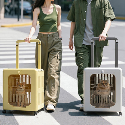 Modern Minimalist ABS PP Rectangular Movable Foldable Cat Travel Carrier Cat Bed For Outdoor