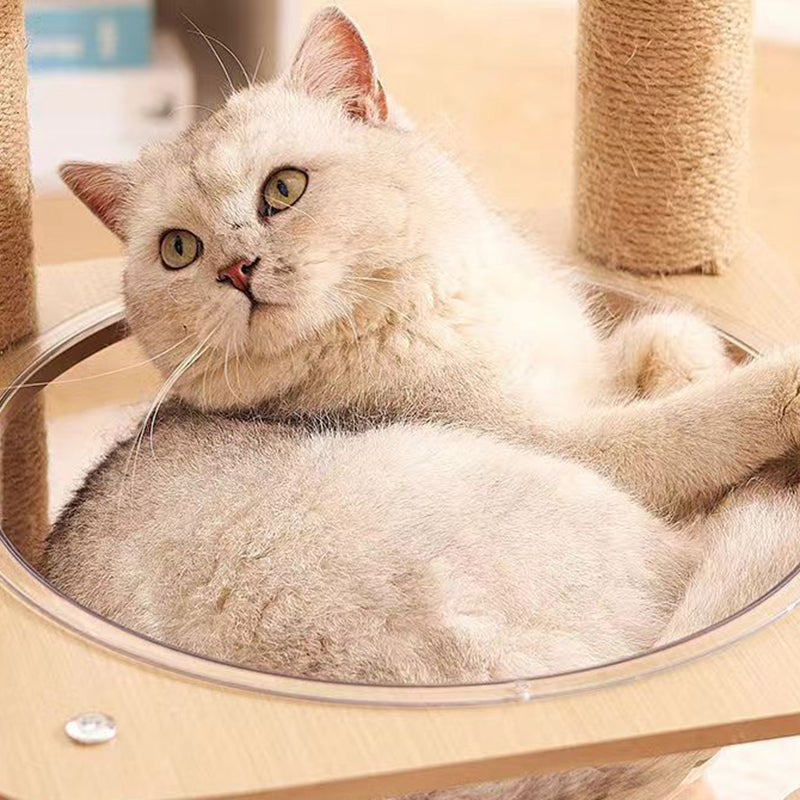 Contemporary Creative Cylindrical Flower-Shaped Medium Density Fiberboard Hemp Rope Plastic Cat Tree For Living Room