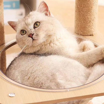 Contemporary Creative Cylindrical Flower-Shaped Medium Density Fiberboard Hemp Rope Plastic Cat Tree For Living Room