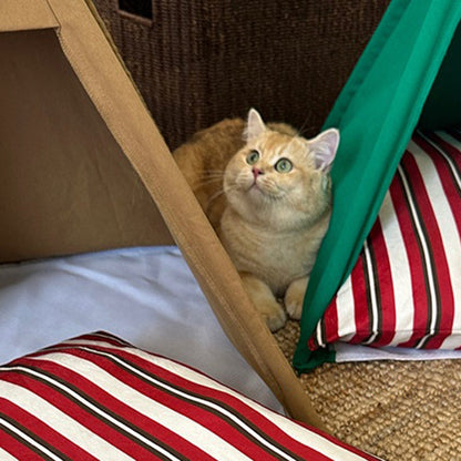 Contemporary Creative Triangle Washed Cotton Crystal Velvet North Island Velvet Non-Slip Fabric Solid Wood Pet Dog Bed Cat Bed For Bedroom
