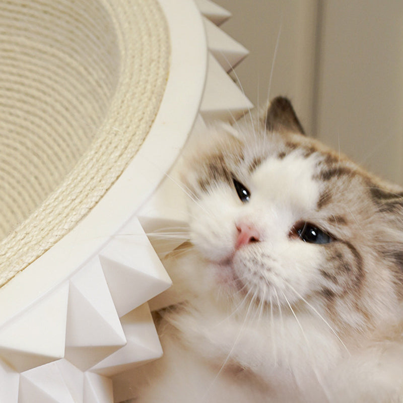 Contemporary Creative Oval Durian-Shaped Hemp Rope Silicone Metal Pet Bed Cat Bed For Bedroom