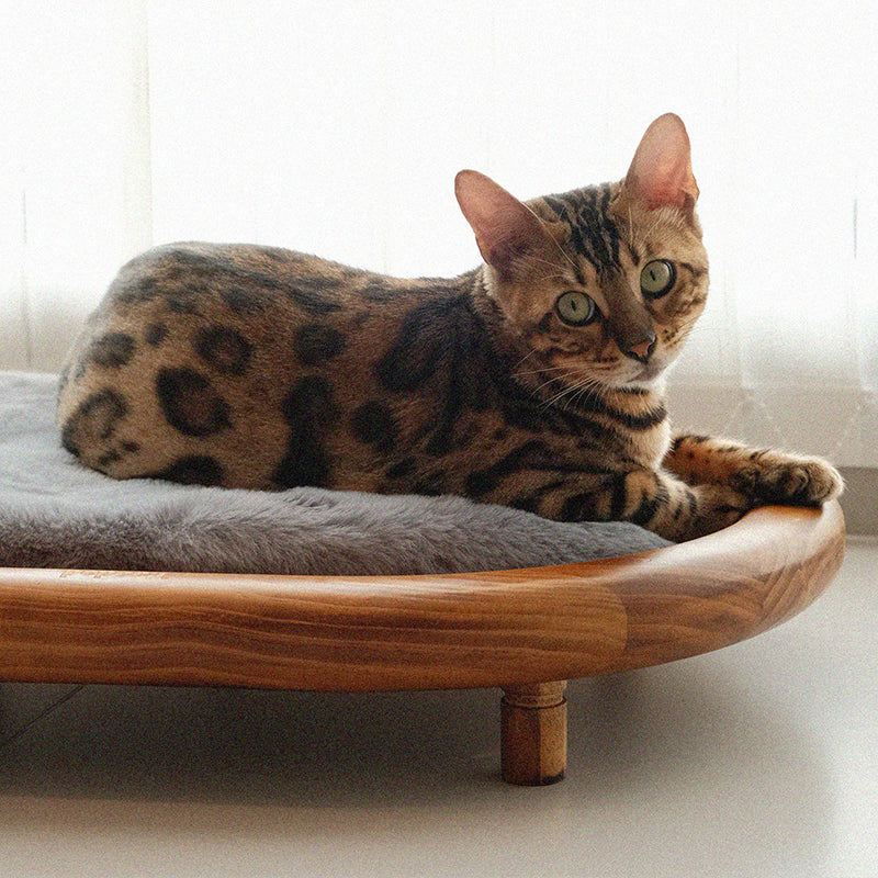 Modern Minimalist Oval Solid Wood Velvet Cat Claw Leather Pet Dog Bed & Cat Bed For Bedroom