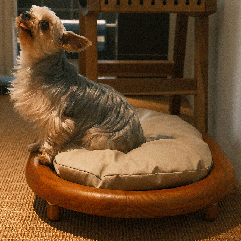 Modern Minimalist Oval Solid Wood Velvet Cat Claw Leather Pet Dog Bed & Cat Bed For Bedroom