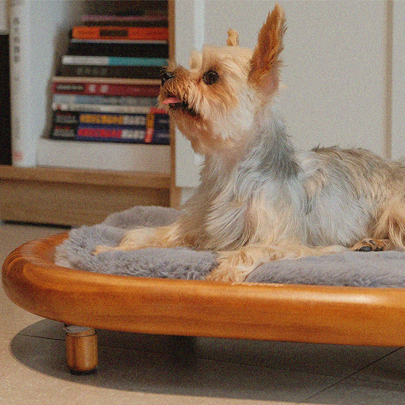 Modern Minimalist Oval Solid Wood Velvet Cat Claw Leather Pet Dog Bed & Cat Bed For Bedroom