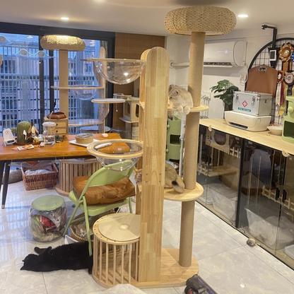 Contemporary Creative Cylindrical Rubberwood Acrylic Sisal Multi-Functional Cat Tree For Living Room