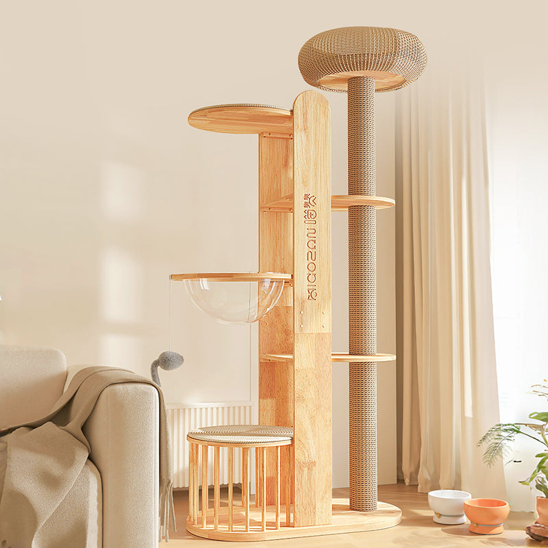 Contemporary Creative Cylindrical Rubberwood Acrylic Sisal Multi-Functional Cat Tree For Living Room