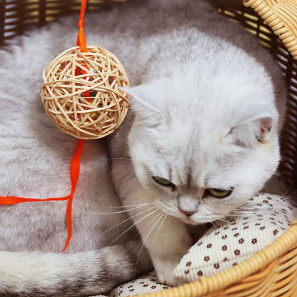 Traditional Chinese Oval Fabric PP Rattan Steel Semi-Enclosed Cat Bed For Bedroom