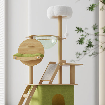 Contemporary Creative Rectangular Medium-Density Fiberboard PET Fabric Acrylic Multi-Functional Cat Tree For Living Room