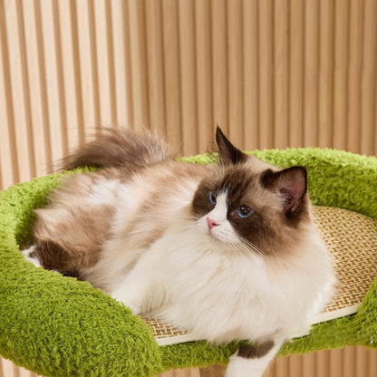 Contemporary Creative Round Pear-Shaped Natural Fruitwood Medium-Density Fiberboard Sisal Fabric Cat Tree For Living Room