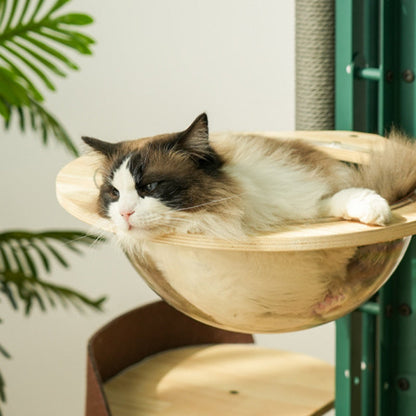 Contemporary Creative Round Rubberwood Iron Sisal Kraft Paper Rope Cactus-Shaped Cat Tree For Living Room