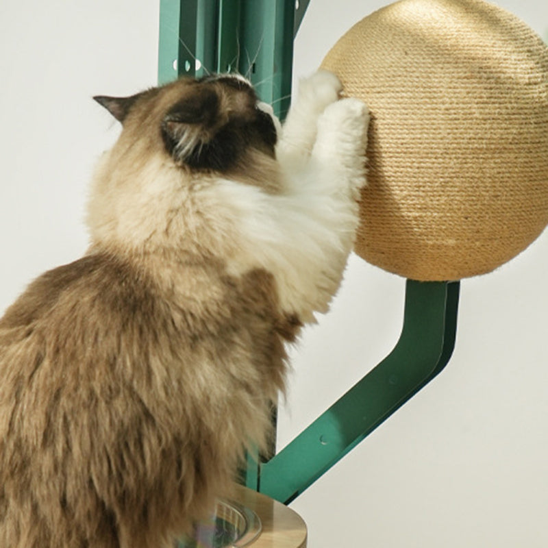 Contemporary Creative Round Rubberwood Iron Sisal Kraft Paper Rope Cactus-Shaped Cat Tree For Living Room