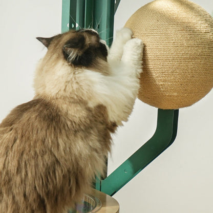 Contemporary Creative Round Rubberwood Iron Sisal Kraft Paper Rope Cactus-Shaped Cat Tree For Living Room