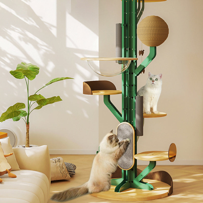 Contemporary Creative Round Rubberwood Iron Sisal Kraft Paper Rope Cactus-Shaped Cat Tree For Living Room