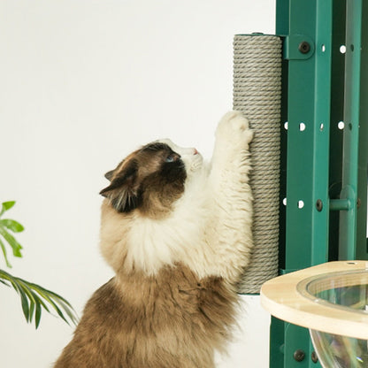 Contemporary Creative Round Rubberwood Iron Sisal Kraft Paper Rope Cactus-Shaped Cat Tree For Living Room
