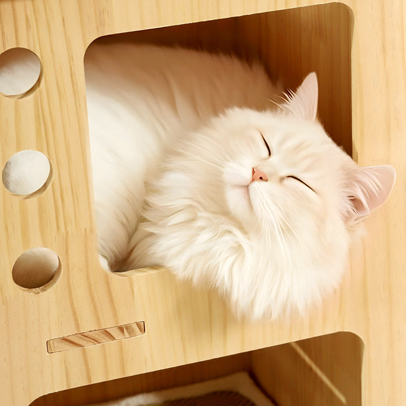 Contemporary Scandinavian Rectangular Pine Wood Velvet Fabric Cotton Rope Cat Tree 4-Tier For Living Room