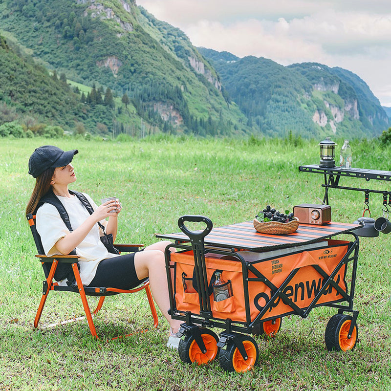 Modern Minimalist Rectangular Carbon Steel Oxford Fabric Foldable Camping Wagon For Outdoor