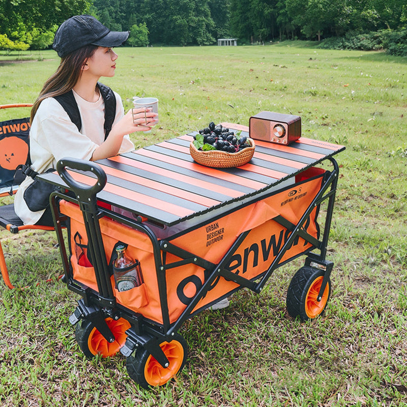 Modern Minimalist Rectangular Carbon Steel Oxford Fabric Foldable Camping Wagon For Outdoor